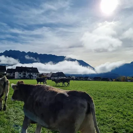 Urlaub Am Bauernhof Bei Familie Steinbrecher *