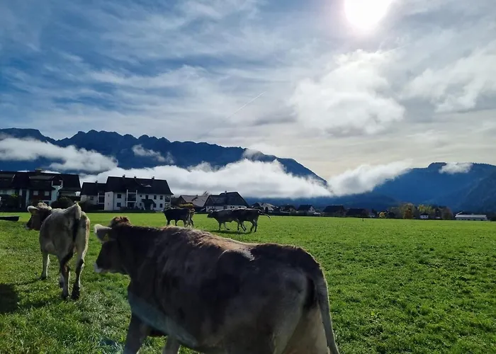 Urlaub Am Bauernhof Bei Familie Steinbrecher *