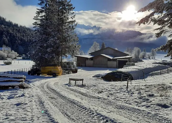 Urlaub Am Bauernhof Bei Familie Steinbrecher
