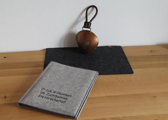 Urlaub Am Bauernhof Bei Familie Steinbrecher مزرعة للإقامة باد ميترندورف